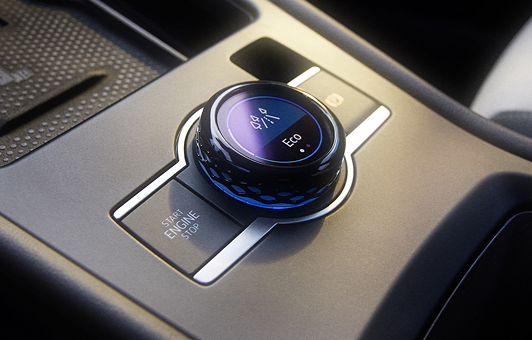 Der Fahrerlebnisschalter im neuen T-Roc